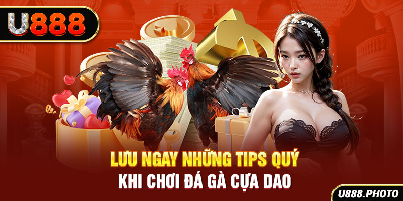 Lưu ngay những tips quý khi chơi đá gà cựa dao