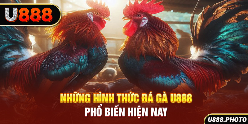 Những hình thức đá gà U888 phổ biến hiện nay