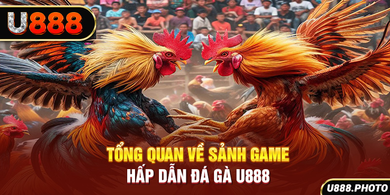 Tổng quan về sảnh game hấp dẫn Đá gà U888